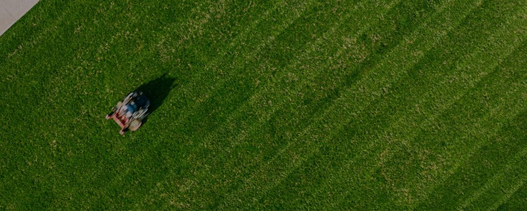 Landscaper Covington LA | helpful in every way.