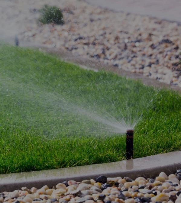 Covington LA Landscaper
