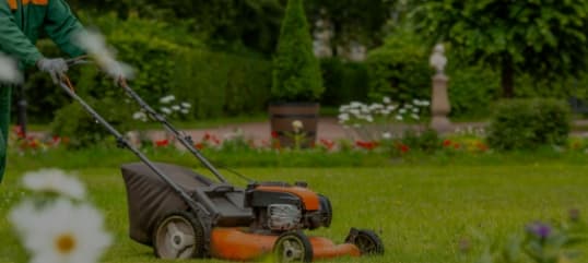 Landscaper Into Convington Louisiana