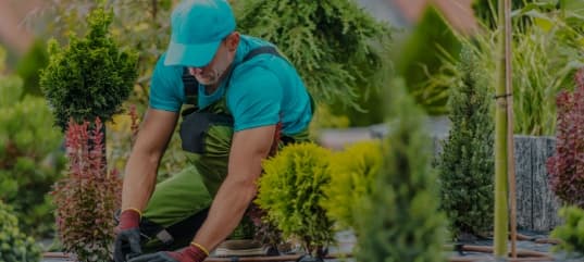 Landscaper In Convington Louisiana
