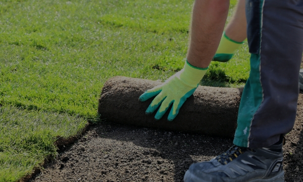 Landscaper Covington La Sod Installation Box