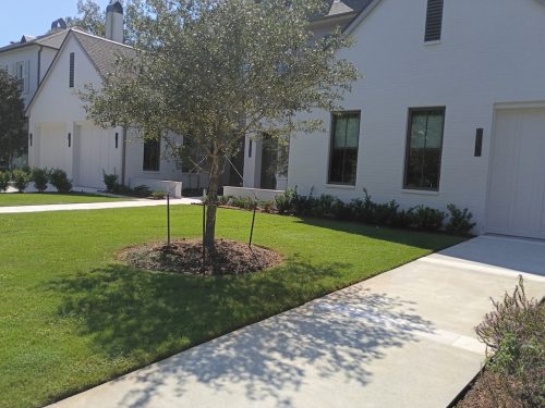 Landscaper Covington La 100