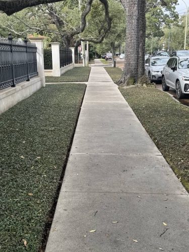 landscaper-covington-la-009