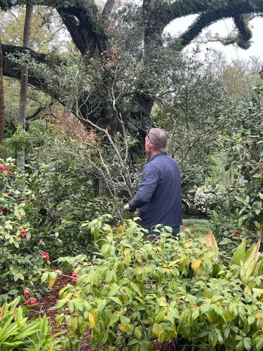 landscaper-covington-la-013