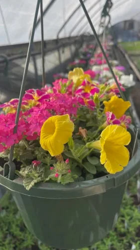 landscaper-covington-la-020