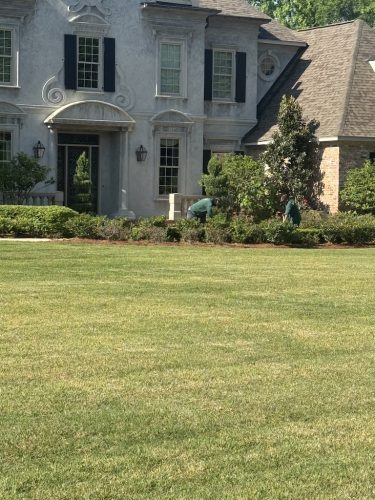 landscaper-covington-la-042