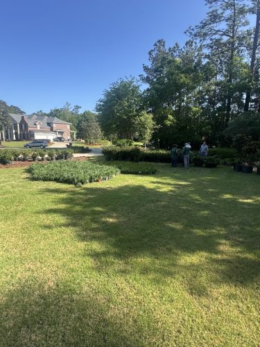 landscaper-covington-la-043