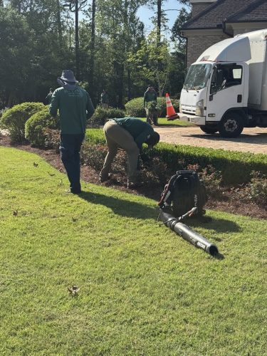 landscaper-covington-la-048