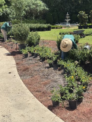 landscaper-covington-la-052