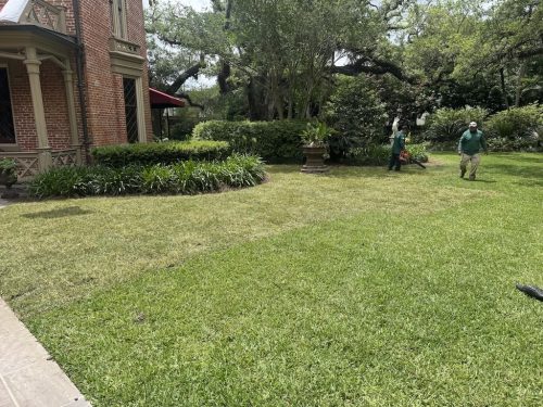 landscaper-covington-la-054