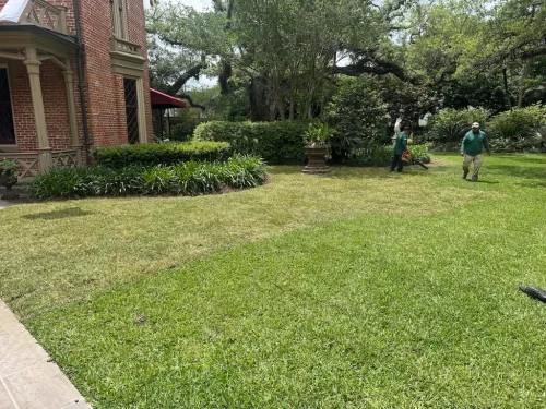landscaper-covington-la-054