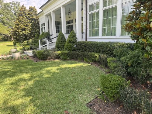 landscaper-covington-la-060