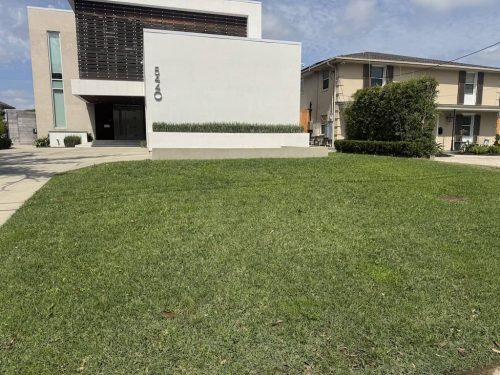 landscaper-covington-la-061 (1)
