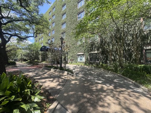 landscaper-covington-la-062
