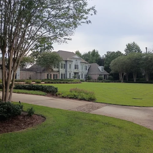landscaper-covington-la-107