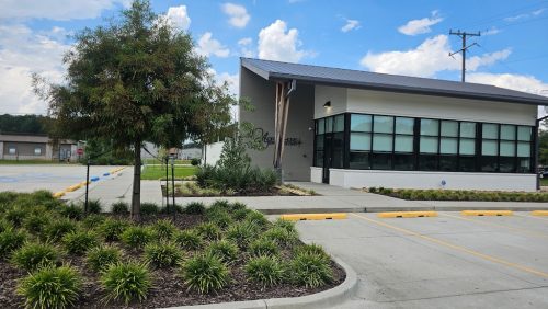landscaper-covington-la-113