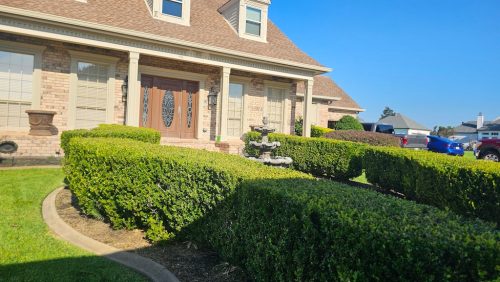 landscaper-covington-la-115